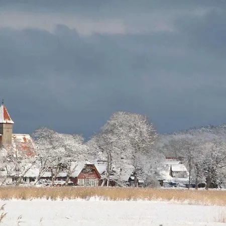 Prázdninový dům Maraike Comfortable